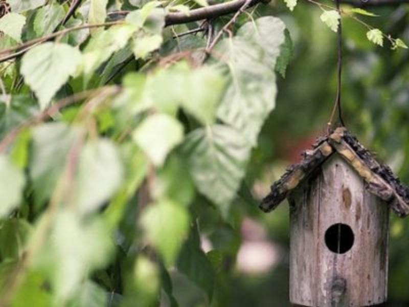 Dicas de Segurança Residencial – Melhore a vigilância natural da sua casa