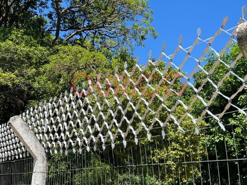 Concertina Rede